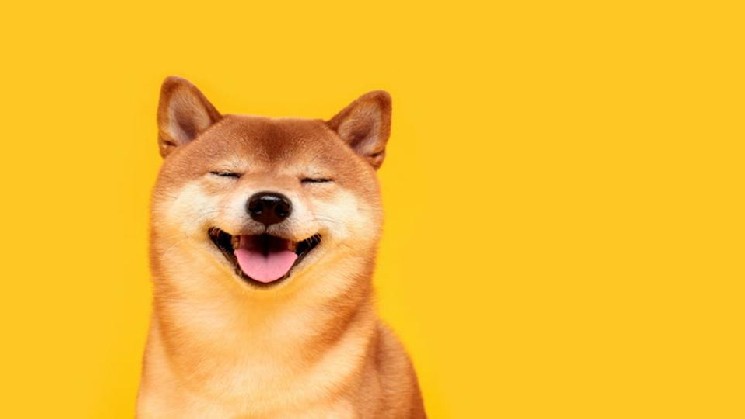 Dogecoin Surges 10%, Decoupling from Bitcoin as Open Interest Peaks Yearly High
