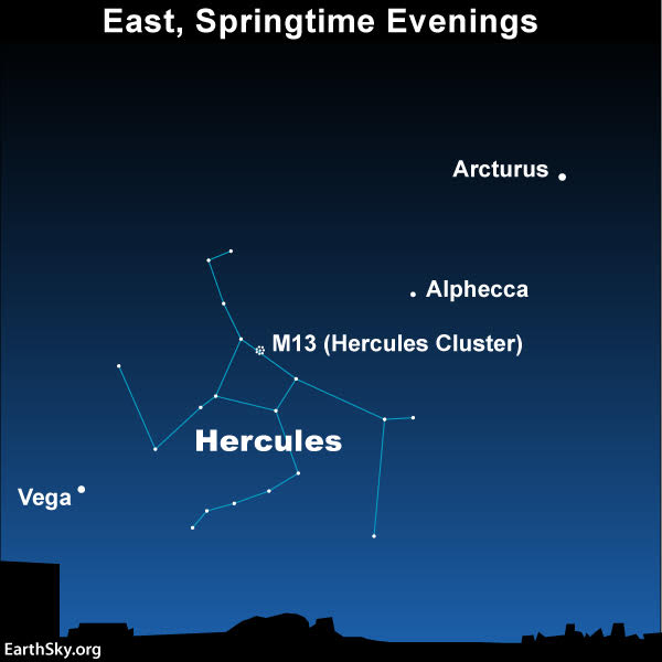 Hercules is between 2 bright stars: Vega and Arcturus