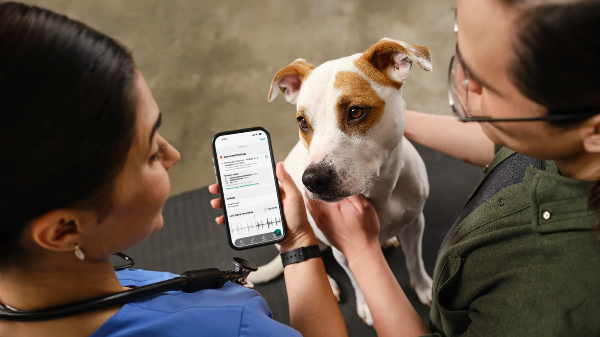 Boehringer Ingelheim and Eko Health Launch AI Heart Murmur Detection for Dogs