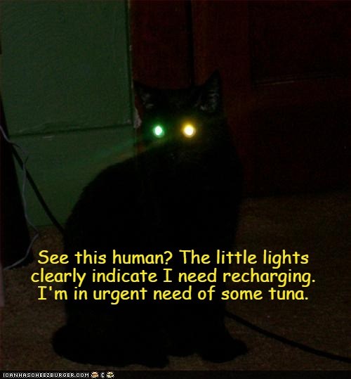 Quickly, before I go offline