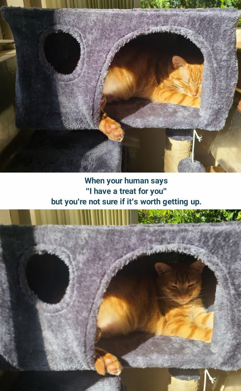 Decisions, Decisions