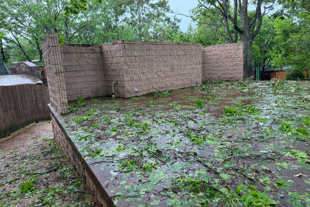 Nearly 5-Inch Hail Injures Drivers, Kills Emu at Zoo