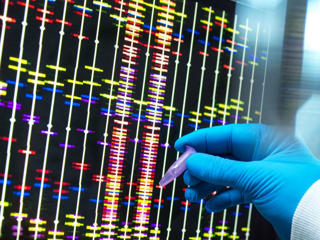 He Helped Reveal 'the Language in Which God Created Life'