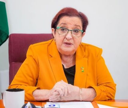 Guyana’s digital platform creating ease in doing business with Govt. agencies