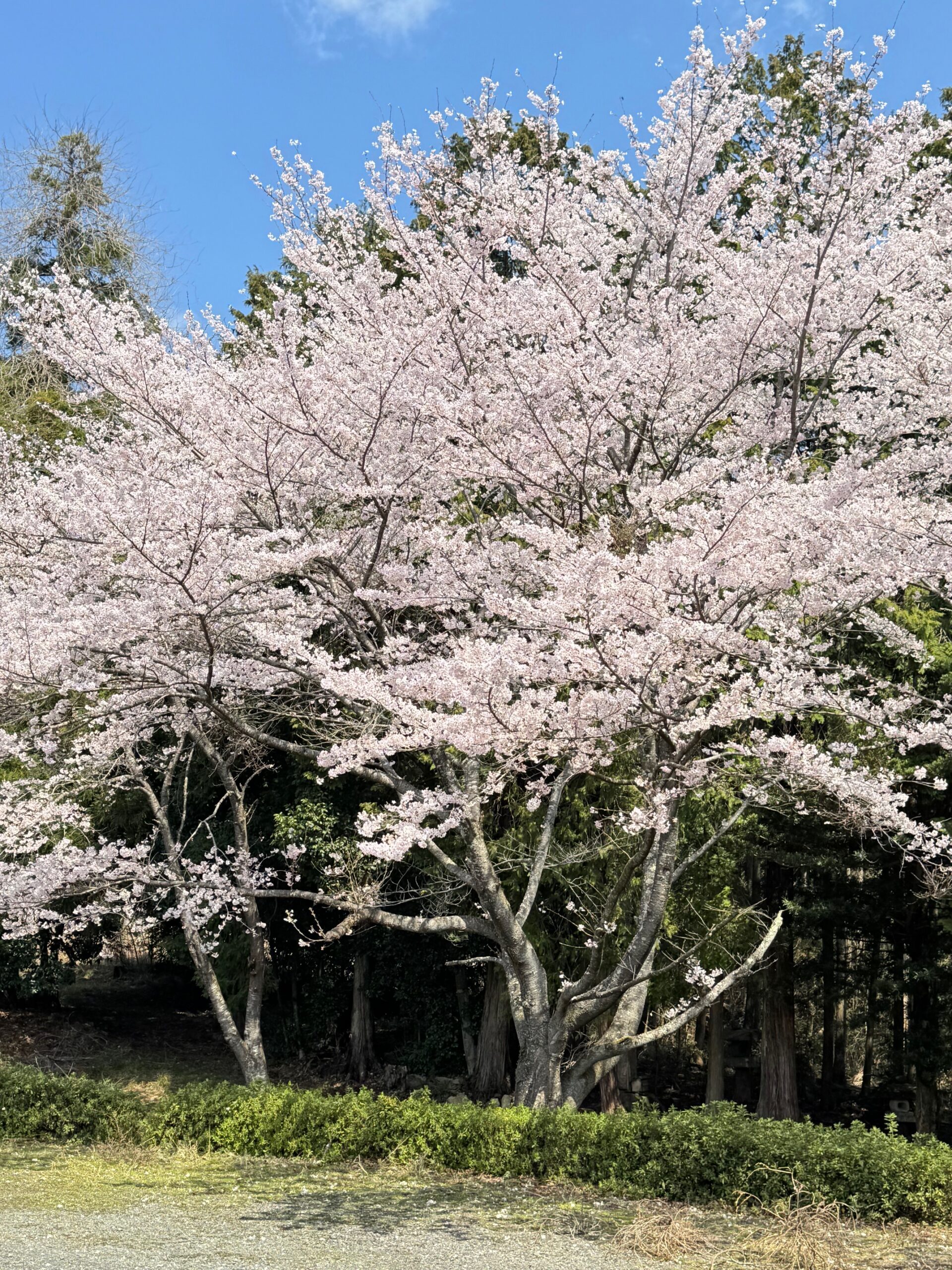 April month in review