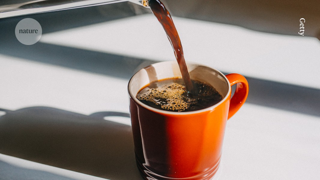 An electrifying test to find a good coffee