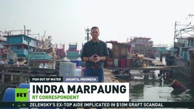 Strait of Hormuz crisis cripples Indonesian fishing industry – RT (VIDEO) — RT World News