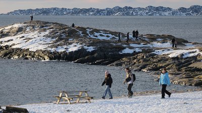 Greenlanders not ‘guinea pigs’ for US – health minister — RT World News