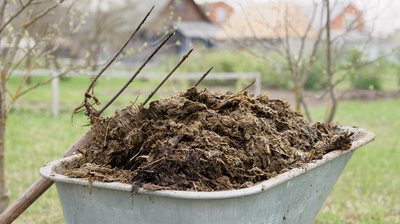 EU to rely on cow manure amid Iran war fertilizer crisis – Politico — RT World News