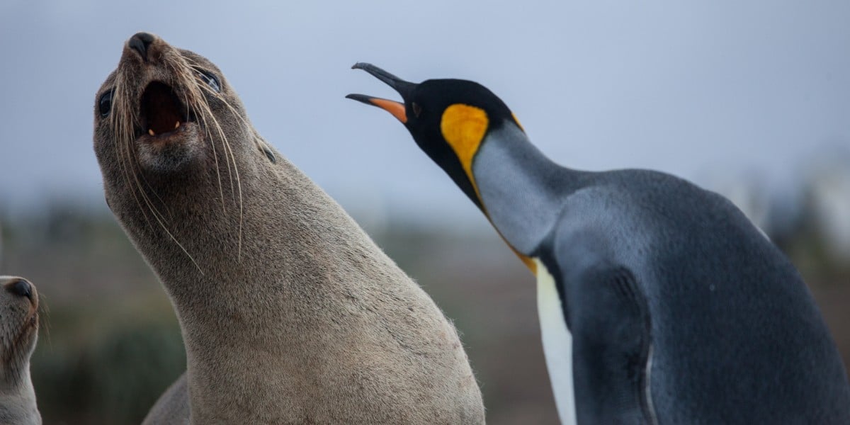 Linux cryptographic code flaw offers fast route to root