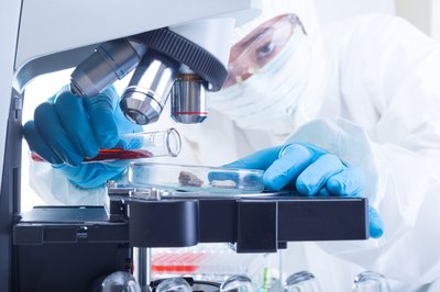 Is IDEAYA Biosciences, Inc. (IDYA) A Good Stock To Buy Now?
