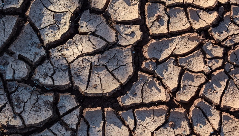 “If You See Me, Weep.” And Other Souvenirs of Climate Catastrophe