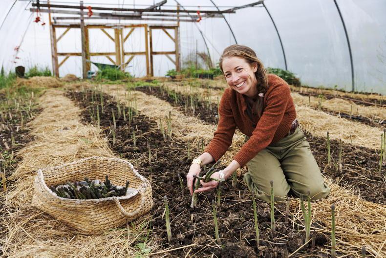 Irish asparagus: springtime superfood spear at its peak