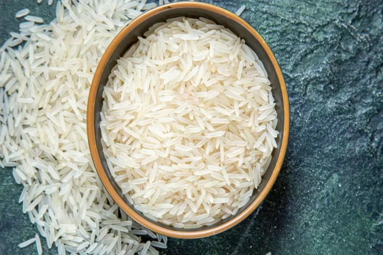 India’s first Basmati-organic training farm to come up in Pilibhit