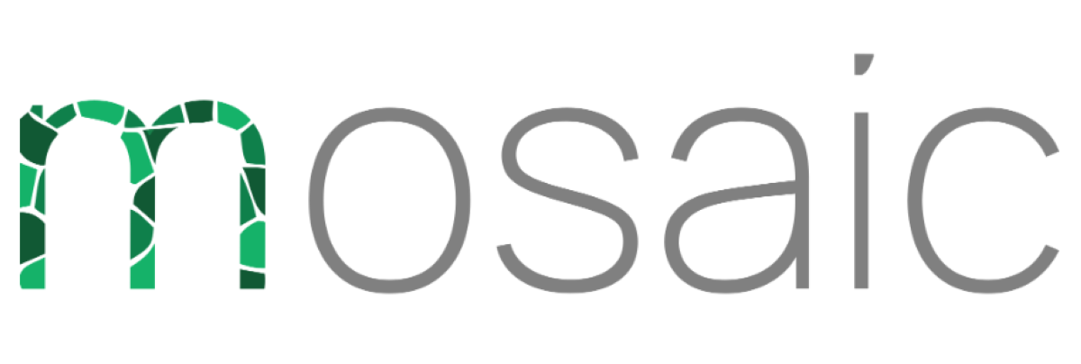 Mosaic SoC raises $3.8M to bring real-time spatial intelligence to every consumer device