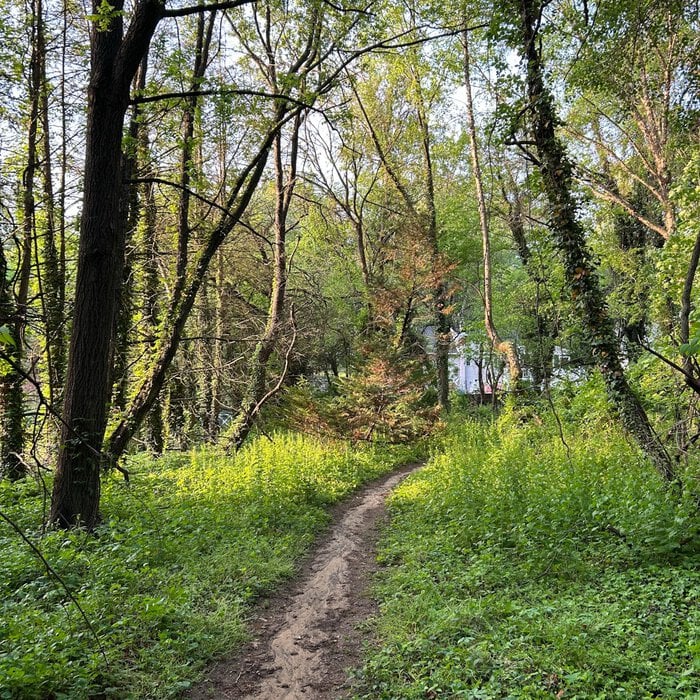 Thankful Thursday | sun and rain